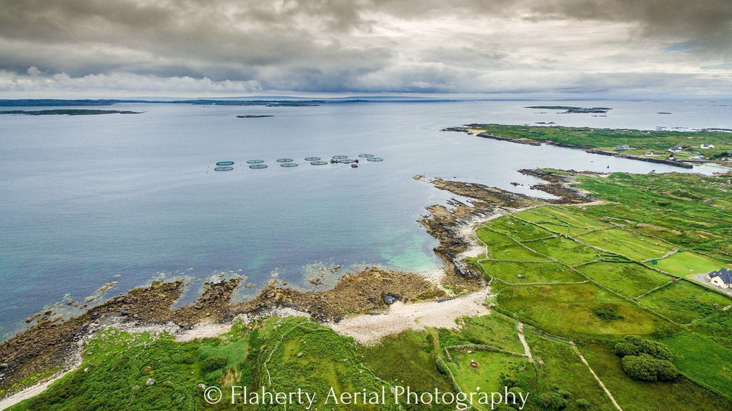 Ardmore Bay -  - droneography.myshopify.com